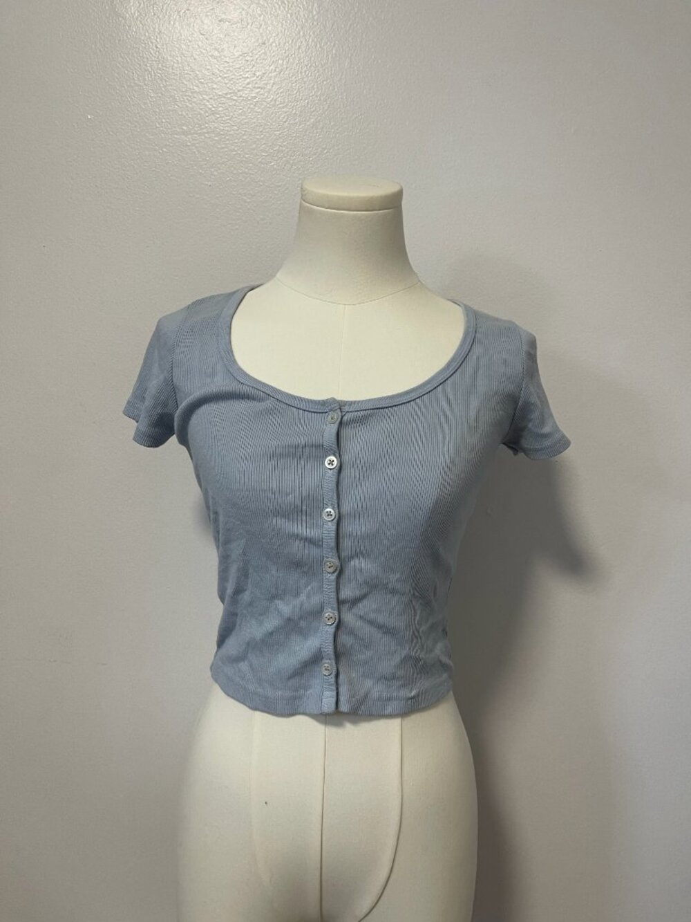 Light Blue Brandy Melville Scoop Neck Short Sleeve Crop Top